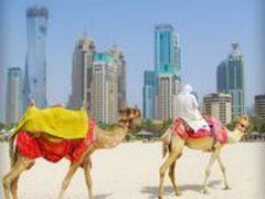 Traduction arabe professionnelle - Offre immédiate en ligne