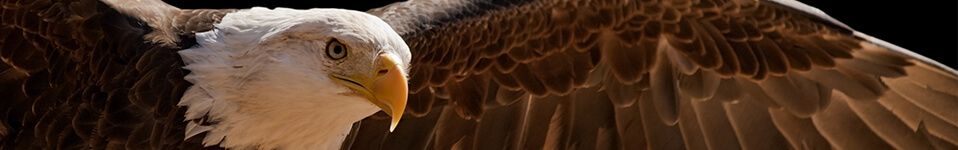 [Translate to Französisch:] [Translate to English:] Seite wurde nicht gefunden